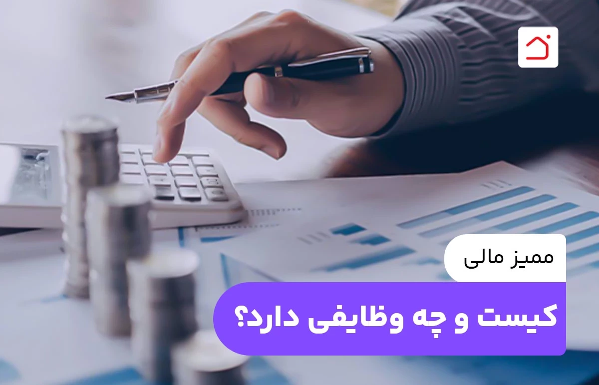 ممیز مالی کیست و چه وظایفی دارد؟